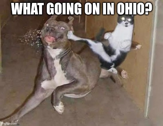 Like seriously man, WHAT? | WHAT GOING ON IN OHIO? | image tagged in get rekt,ohioo,ohio | made w/ Imgflip meme maker