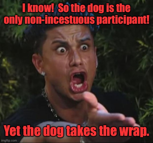 DJ Pauly D Meme | I know!  So the dog is the only non-incestuous participant! Yet the dog takes the wrap. | image tagged in memes,dj pauly d | made w/ Imgflip meme maker