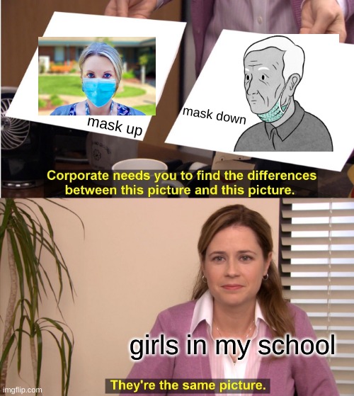 They're The Same Picture | mask down; mask up; girls in my school | image tagged in memes,they're the same picture | made w/ Imgflip meme maker