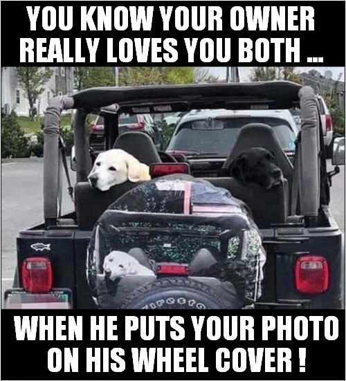 They Are Predictable Dogs ! | YOU KNOW YOUR OWNER REALLY LOVES YOU BOTH ... WHEN HE PUTS YOUR PHOTO
ON HIS WHEEL COVER ! | image tagged in dogs,photo,cover | made w/ Imgflip meme maker