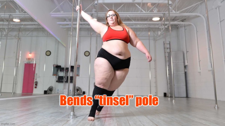 Bends “tinsel” pole | made w/ Imgflip meme maker