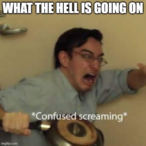 filthy frank confused scream | WHAT THE HELL IS GOING ON | image tagged in filthy frank confused scream | made w/ Imgflip meme maker