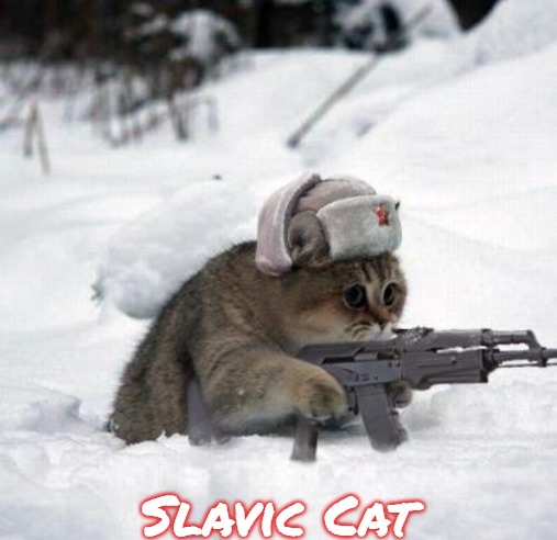 Cute Sad Soviet War Kitten | Slavic Cat | image tagged in cute sad soviet war kitten,slavic | made w/ Imgflip meme maker