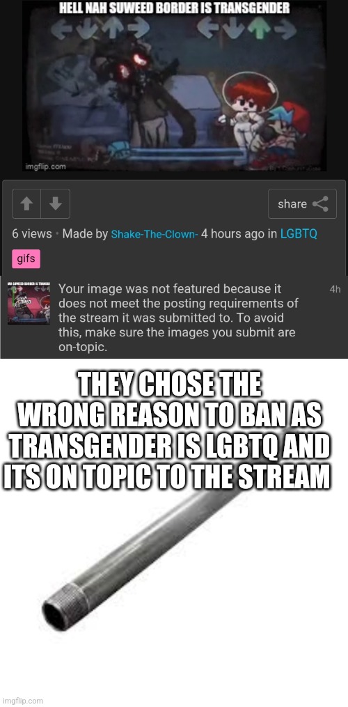 THEY CHOSE THE WRONG REASON TO BAN AS TRANSGENDER IS LGBTQ AND ITS ON TOPIC TO THE STREAM | image tagged in metal pipe | made w/ Imgflip meme maker