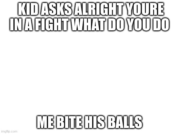 KID ASKS ALRIGHT YOURE IN A FIGHT WHAT DO YOU DO; ME BITE HIS BALLS | made w/ Imgflip meme maker