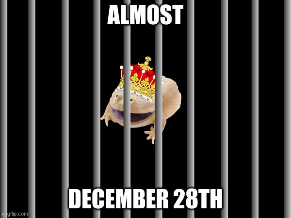 Someone help. Toad_Lord is bouta take control of me | ALMOST; DECEMBER 28TH | image tagged in blank | made w/ Imgflip meme maker