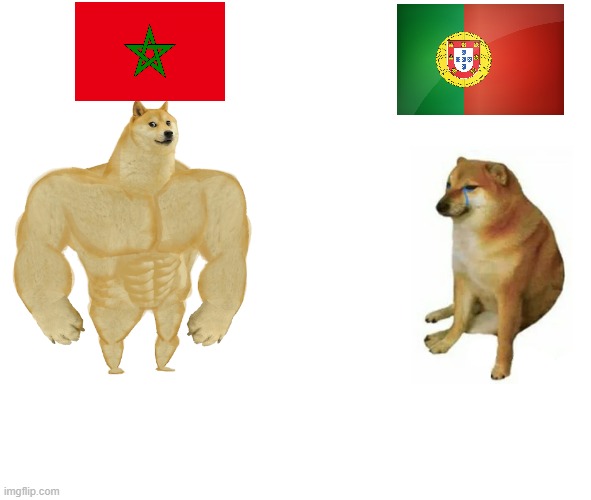 ? | image tagged in memes,buff doge vs cheems | made w/ Imgflip meme maker