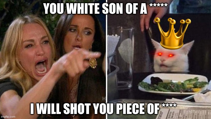 Woman yelling at white cat | YOU WHITE SON OF A *****; I WILL SHOT YOU PIECE OF **** | image tagged in woman yelling at white cat | made w/ Imgflip meme maker