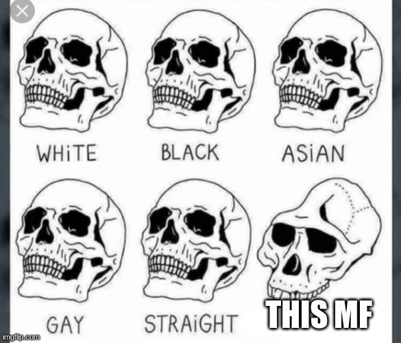 White Black Asian Gay Straight skull template | THIS MF | image tagged in white black asian gay straight skull template | made w/ Imgflip meme maker