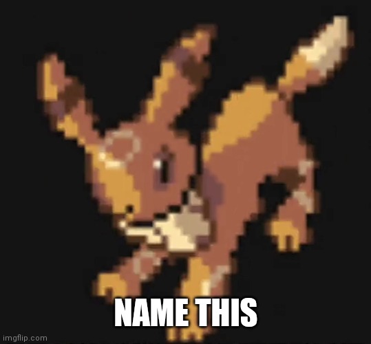 NAME THIS | made w/ Imgflip meme maker