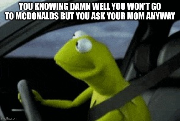 kermit driving | YOU KNOWING DAMN WELL YOU WON'T GO TO MCDONALDS BUT YOU ASK YOUR MOM ANYWAY | image tagged in kermit driving | made w/ Imgflip meme maker