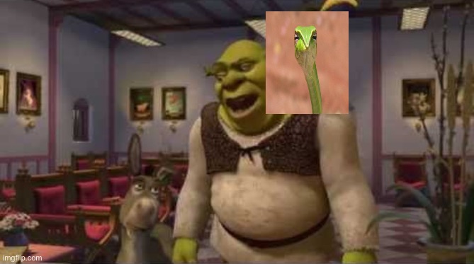 You’ve heard of elf on a shelf but… | image tagged in they don't even have dental,shrek,snek,bad pun | made w/ Imgflip meme maker