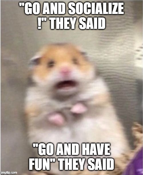 AH | "GO AND SOCIALIZE
!" THEY SAID; "GO AND HAVE FUN" THEY SAID | image tagged in scared hamster,fun,hehehe | made w/ Imgflip meme maker