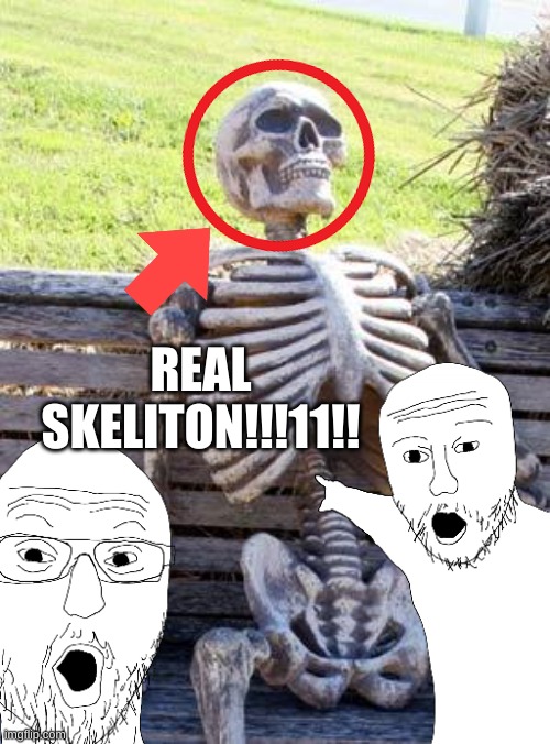 REAL SKELITON!!!11!! | made w/ Imgflip meme maker