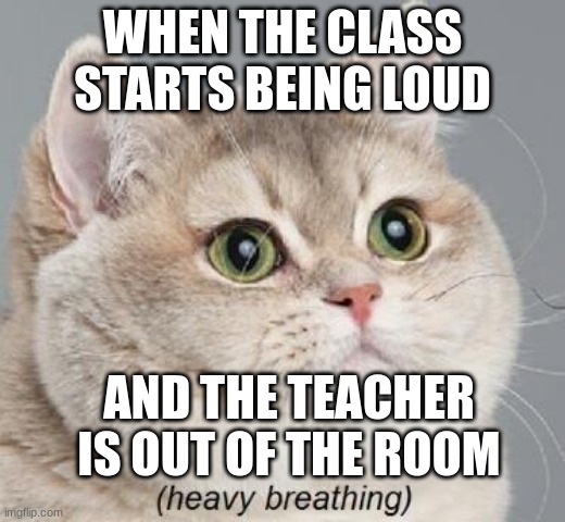 every Single TIME | WHEN THE CLASS STARTS BEING LOUD; AND THE TEACHER IS OUT OF THE ROOM | image tagged in memes,heavy breathing cat | made w/ Imgflip meme maker