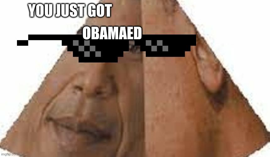 uhhh obama | YOU JUST GOT; OBAMAED | image tagged in pokemon | made w/ Imgflip meme maker