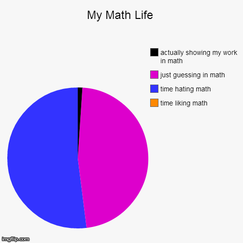 image tagged in funny,pie charts | made w/ Imgflip chart maker