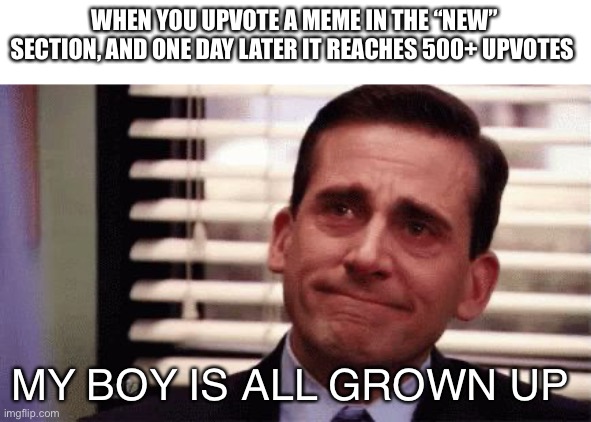 :’) | WHEN YOU UPVOTE A MEME IN THE “NEW” SECTION, AND ONE DAY LATER IT REACHES 500+ UPVOTES; MY BOY IS ALL GROWN UP | image tagged in happy cry | made w/ Imgflip meme maker