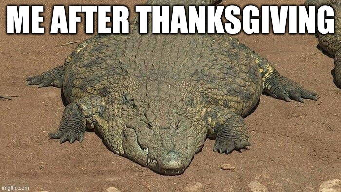 Thicc crocodile | ME AFTER THANKSGIVING | image tagged in thicc crocodile | made w/ Imgflip meme maker