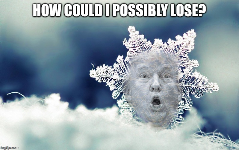 Trump Snowflake | HOW COULD I POSSIBLY LOSE? | image tagged in trump snowflake | made w/ Imgflip meme maker