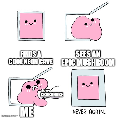 funny neon cave | FINDS A COOL NEON CAVE; SEES AN EPIC MUSHROOM; CRABSNAKE; ME | image tagged in pink blob in the box | made w/ Imgflip meme maker