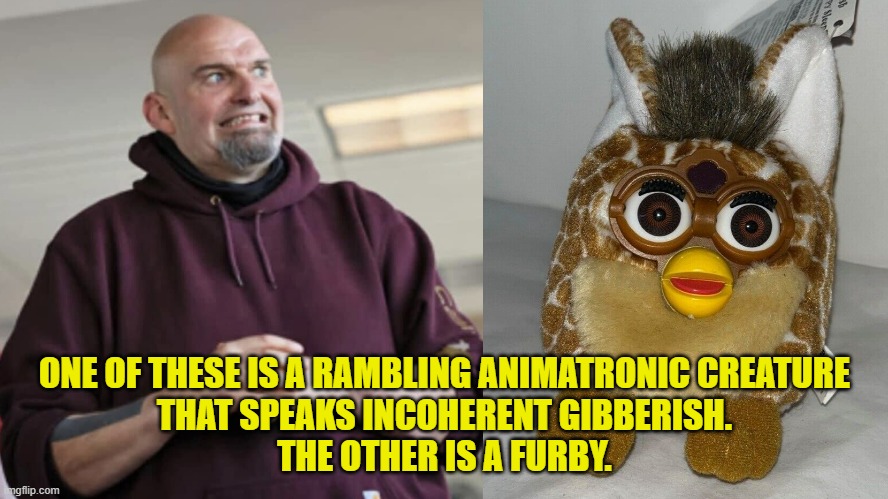 Furby For President | ONE OF THESE IS A RAMBLING ANIMATRONIC CREATURE
THAT SPEAKS INCOHERENT GIBBERISH.
THE OTHER IS A FURBY. | image tagged in memes,john fetterman,furby,language,politics,democrat | made w/ Imgflip meme maker