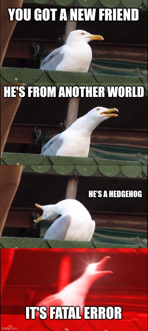 Inhaling Seagull | YOU GOT A NEW FRIEND; HE'S FROM ANOTHER WORLD; HE'S A HEDGEHOG; IT'S FATAL ERROR | image tagged in memes,inhaling seagull | made w/ Imgflip meme maker