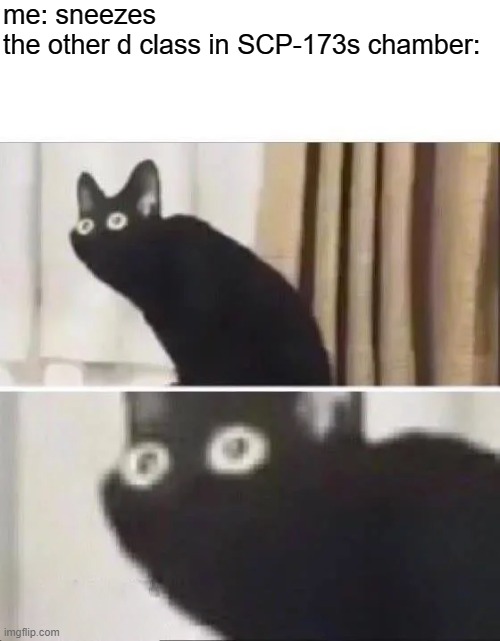 scp 173 moment | me: sneezes
the other d class in SCP-173s chamber: | image tagged in oh no black cat | made w/ Imgflip meme maker