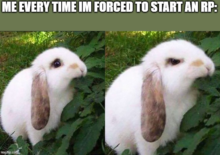 Rp meme | ME EVERY TIME IM FORCED TO START AN RP: | image tagged in bunny biting leaf | made w/ Imgflip meme maker