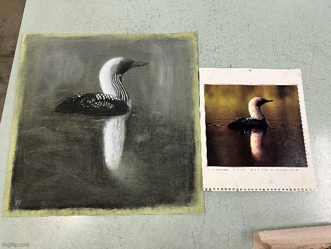 Here’s my first time using Charcoal | image tagged in yes i am aware is did not do very well | made w/ Imgflip meme maker