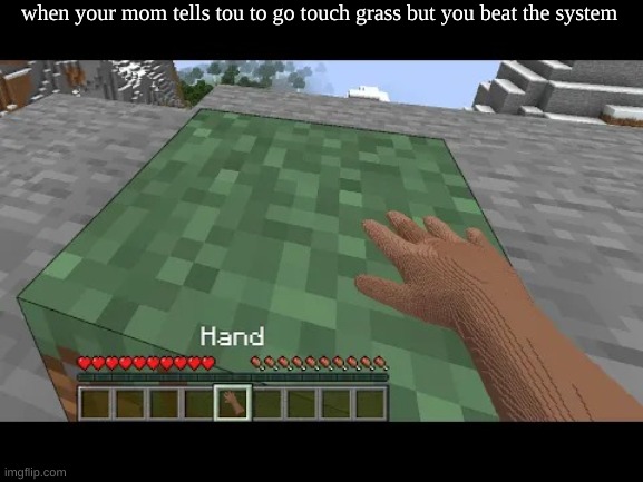 Hand touching Minecraft grass block | when your mom tells tou to go touch grass but you beat the system | image tagged in hand touching minecraft grass block,gaming | made w/ Imgflip meme maker