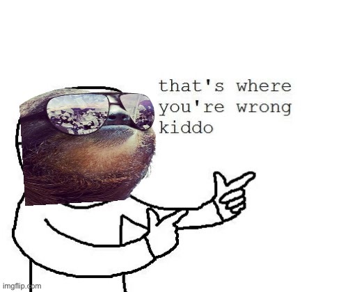 Sloth that’s where you’re wrong kiddo | image tagged in sloth that s where you re wrong kiddo | made w/ Imgflip meme maker
