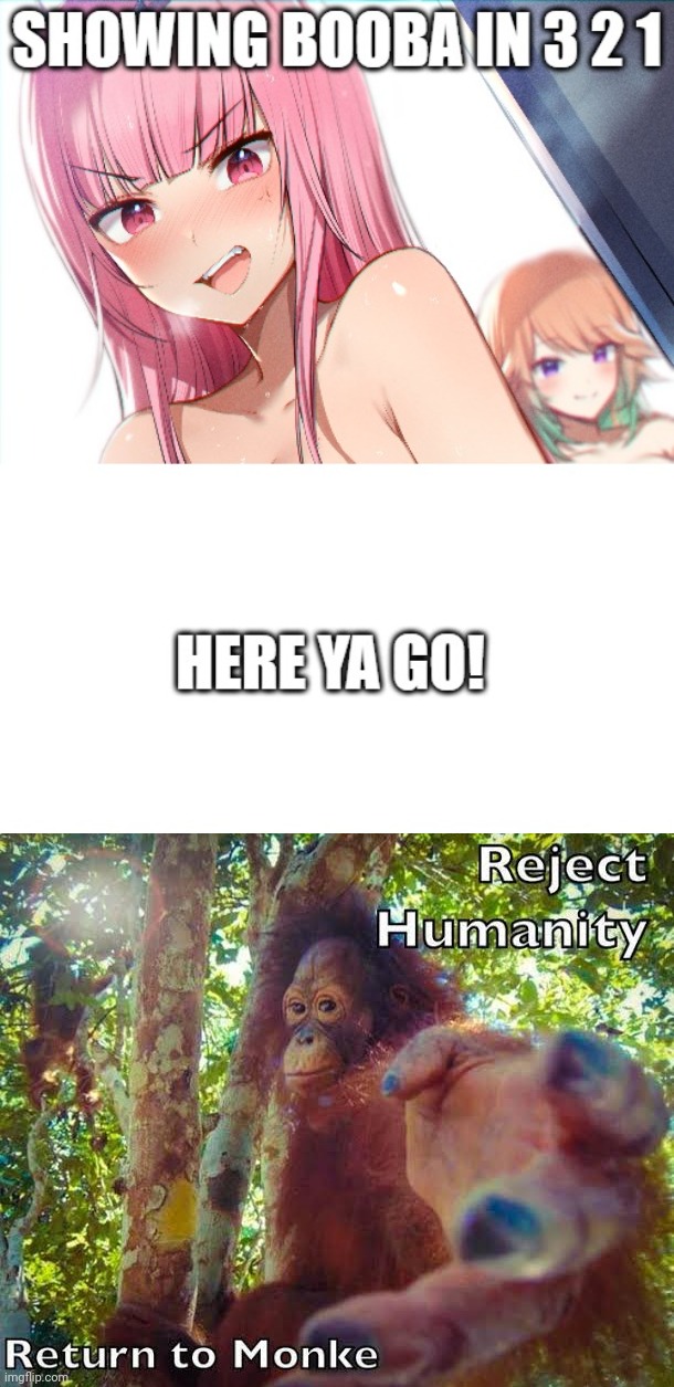 image tagged in return to monke | made w/ Imgflip meme maker