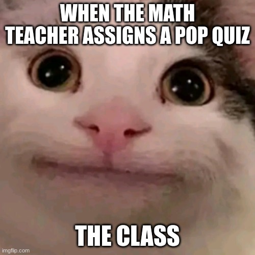 o_o | WHEN THE MATH TEACHER ASSIGNS A POP QUIZ; THE CLASS | image tagged in beluga,math teacher | made w/ Imgflip meme maker