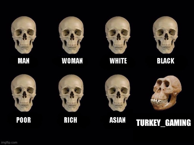 turkey_gaming Needs to Get off imgflip and touch grass. | TURKEY_GAMING | image tagged in empty skulls of truth,imgflip,memes,funny,idiot skull,turkey_gaming sucks | made w/ Imgflip meme maker