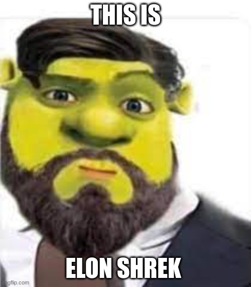 elon shrek | THIS IS; ELON SHREK | image tagged in funny memes,memes,funny | made w/ Imgflip meme maker