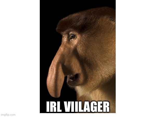 Villager | IRL VIILAGER | image tagged in monke | made w/ Imgflip meme maker
