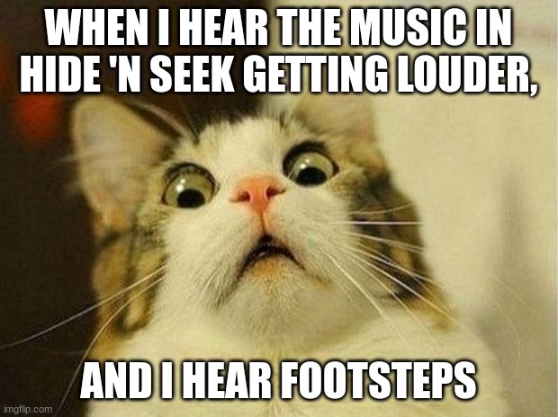 I'm past scared rn | WHEN I HEAR THE MUSIC IN HIDE 'N SEEK GETTING LOUDER, AND I HEAR FOOTSTEPS | image tagged in memes,scared cat,among us,hide and seek | made w/ Imgflip meme maker
