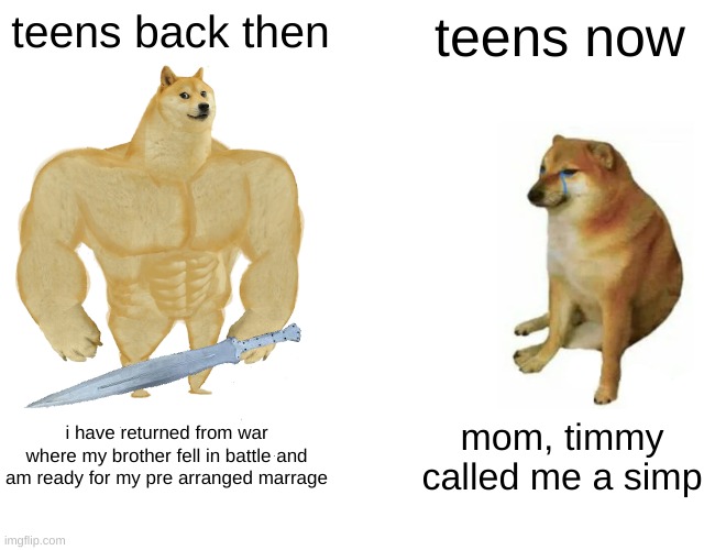 Buff Doge vs. Cheems Meme | teens back then; teens now; i have returned from war where my brother fell in battle and am ready for my pre arranged marrage; mom, timmy called me a simp | image tagged in memes,buff doge vs cheems | made w/ Imgflip meme maker