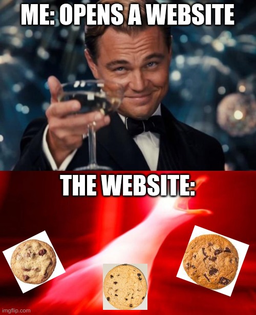 Accept | ME: OPENS A WEBSITE; THE WEBSITE: | image tagged in memes,leonardo dicaprio cheers,cookies,seagull,websites | made w/ Imgflip meme maker