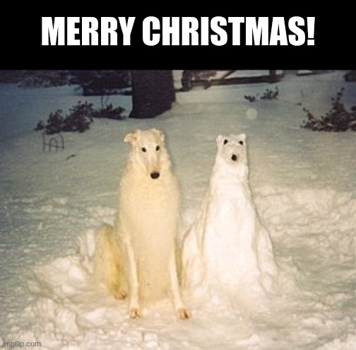 Snow Dog | MERRY CHRISTMAS! | image tagged in memes,funny,animals,dogs,cursed,merry christmas | made w/ Imgflip meme maker
