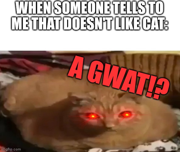 GWA GWA GWA GWA GWA GWA GWA GWA- | WHEN SOMEONE TELLS TO ME THAT DOESN'T LIKE CAT:; A GWAT!? | image tagged in memes,gwagwacat,cats | made w/ Imgflip meme maker