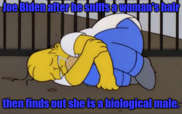 Watch Who you Sniff | Joe Biden after he sniffs a woman's hair; then finds out she is a biological male. | image tagged in fetal position homer | made w/ Imgflip meme maker