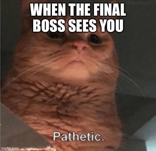 Last one | WHEN THE FINAL BOSS SEES YOU | image tagged in pathetic cat | made w/ Imgflip meme maker