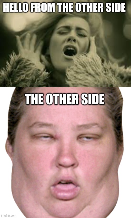 The other side be like | HELLO FROM THE OTHER SIDE; THE OTHER SIDE | image tagged in hello from the other side,ugly | made w/ Imgflip meme maker