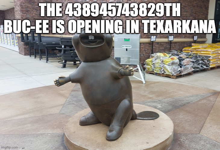 Buc-ee | THE 438945743829TH BUC-EE IS OPENING IN TEXARKANA | image tagged in buc-ee | made w/ Imgflip meme maker