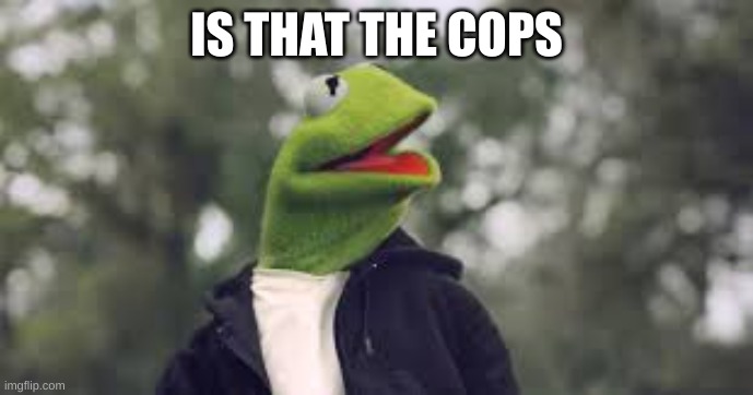 IS THAT THE COPS | image tagged in kermit the frog | made w/ Imgflip meme maker
