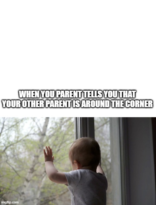 true | WHEN YOU PARENT TELLS YOU THAT YOUR OTHER PARENT IS AROUND THE CORNER | image tagged in kid looking out window | made w/ Imgflip meme maker