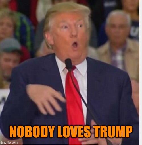Donald Trump tho | NOBODY LOVES TRUMP | image tagged in donald trump tho | made w/ Imgflip meme maker