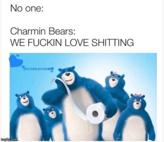 Not my meme | image tagged in charmin,bears,shit | made w/ Imgflip meme maker